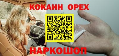 сатива Лесосибирск