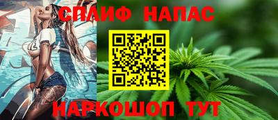 сатива Лесосибирск