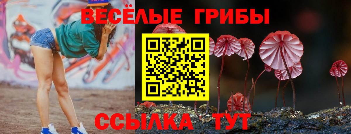 Галлюциногенные грибы Cubensis  Псилоцибиновые грибы Psilocybe  Ярцево  купить наркотик  Вход с VPN 